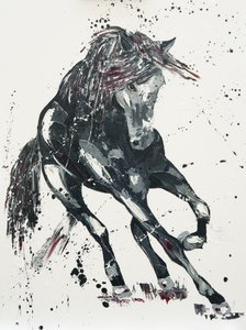 Significato, 2016