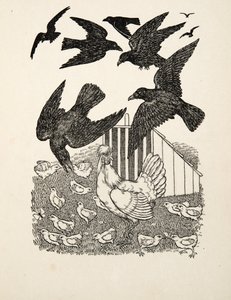 Un corvo calcolatore, da A Hundred Anecdotes of Animals, pub. 1924 da Percy J. Billingshurst