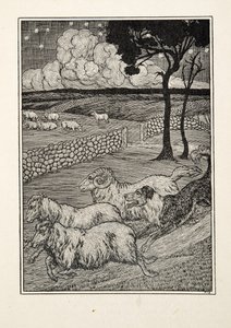 Un ladro di pecore canino, da A Hundred Anecdotes of Animals, pub. 1924