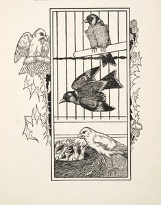 Un canarino caritatevole, da Cento aneddoti di animali, pub. 1924