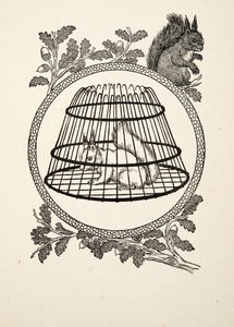 Uno scoiattolo rifugiato, da Cento aneddoti di animali, pub. 1924