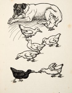 Una madre adottiva singolare, da Cento aneddoti di animali, pub. 1924 da Percy J. Billingshurst
