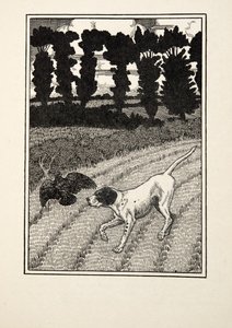 Ingannare il cacciatore, da Cento aneddoti di animali, pub. 1924