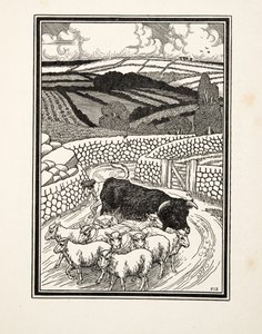 Andare al mercato, da Cento aneddoti di animali, pub. 1924 da Percy J. Billingshurst