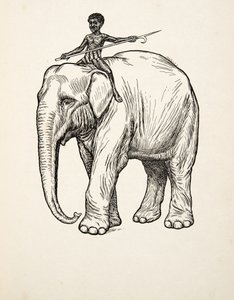 Rimorso, da A Hundred Anecdotes of Animals, pub. 1924 da Percy J. Billingshurst