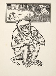 Richiesta di soccorso, da A Hundred Anecdotes of Animals, pub. 1924 da Percy J. Billingshurst