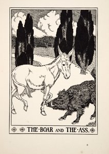 Il cinghiale e l