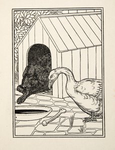 Il cane e l