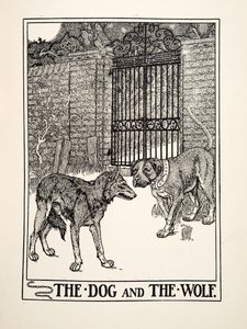 Il cane e il lupo, da Cento favole di Esopo, pub.1903 (incisione)