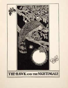 Il Falco e l