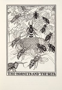 I calabroni e le api, da Favole di Fontaine, pub. 1905 (incisione) da Percy J. Billingshurst