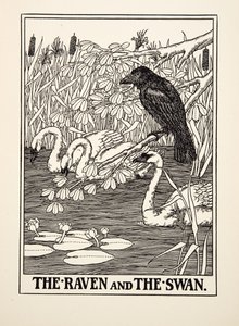 Il Corvo e il Cigno, da Cento Favole di Esopo, pub.1903