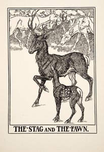 Il Cervo e il Cerbiatto, da Cento Favole di Esopo, pub.1903