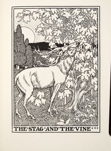 Il cervo e la vite, dalle Favole di Fontaine, pub. 1905