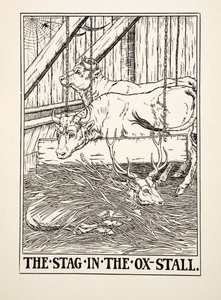 Il cervo nella stalla dei buoi, da Cento favole di Esopo, pub.1903 da Percy J. Billingshurst
