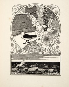 Il gabbiano addomesticato, da A Hundred Anecdotes of Animals, pub. 1924 (incisione) da Percy J. Billingshurst