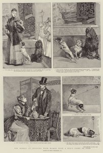 La miseria dello shopping con le donne dal punto di vista di un cane