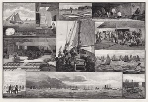 Industrie della pesca, dragaggio delle ostriche