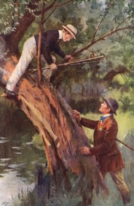 Ora, Scendi Subito da Percy Tarrant