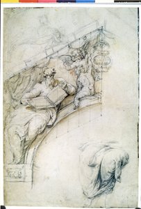  da Perino del (1501-47) Vaga