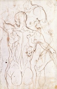 Un Nudo Visto da Dietro, Guardando a Sinistra, e Altri Studi della sua Spalla Sinistra e Gamba Destra da Perino del Vaga