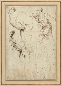Studio di un nudo visto di schiena e due studi di un braccio (recto); nudo visto di schiena, con studi secondari di una spalla e di una gamba (verso) da Perino del Vaga