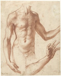 Studio di un torso da Perino del Vaga