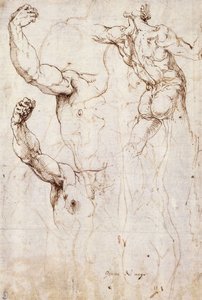 Il retro di un nudo e due studi di un braccio e una spalla sollevati, visti dal davanti