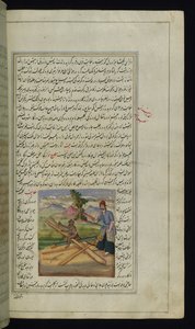 Una scimmia e un falegname da Luci di Canopo da Persian School