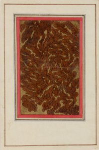 Pagina di album (con calligrafia Shikasta) da Persian School