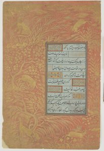 Foglio di calligrafia, Iran, dinastia Safavide