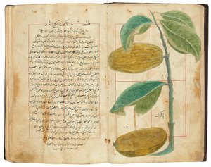 Hassan Bin Baqir Bin Jarrah: Gulzar Al-Rayahin, Qajar Iran da Persian School