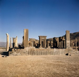 Palazzo di Dario I (550-486 a.C.) a Persepoli (Iran), Sito dell