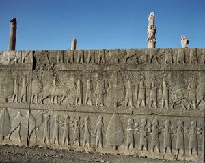 Popoli sottomessi offrono doni a Dario I. Rilievi della scala orientale dell