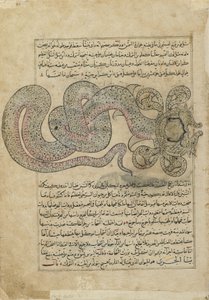 Il Serpente Marino (al-Tannin), foglio da Ajaib al-makhluqat (Meraviglie della Creazione) di al-Qazvini, Iraq o Turchia Orientale da Persian School