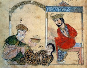 Il dottore ignorante e la figlia del re