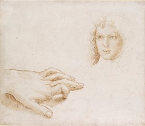 Studi di una testa e di una mano, fine XV-inizio XVI secolo