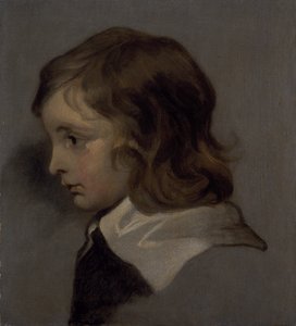Testa di un ragazzo giovane da Peter (follower of) Lely