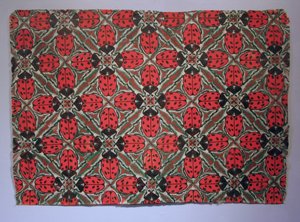 Modello di insetto - Coccinella