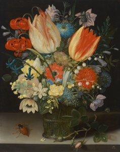 Natura morta con tulipani, 1623 da Peter Binoit