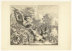 Combattimento di galli