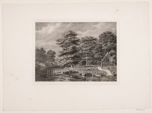 Fiume tra rive boscose da Peter Christian Schøler