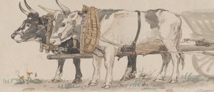 Due buoi che tirano un carro da Peter Christian Thamsen Skovgaard