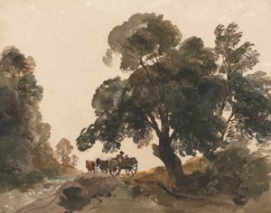 Il carro