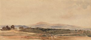 Raccolta da Peter de Wint