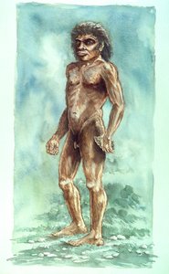 Uomo di Boxgrove, preistorico, 1990-2010