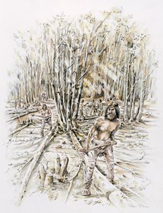 Usi della selce - ceduazione, preistorico, c1990-2010 da Peter Dunn