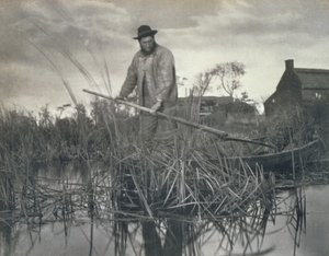 Ritorno dalle paludi, vita e paesaggio sui Norfolk Broads da Peter Emerson und Thomas Goodall
