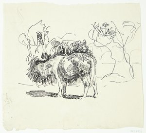 Toro in piedi
