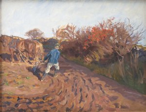 Il contadino ara